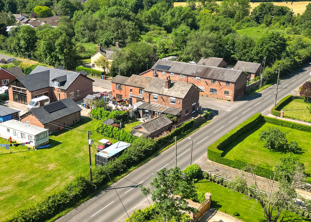 Pompian Brow Bretherton